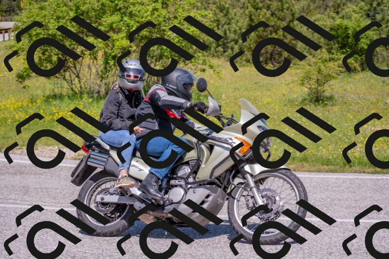 202506021114-DSC_7749_c4_