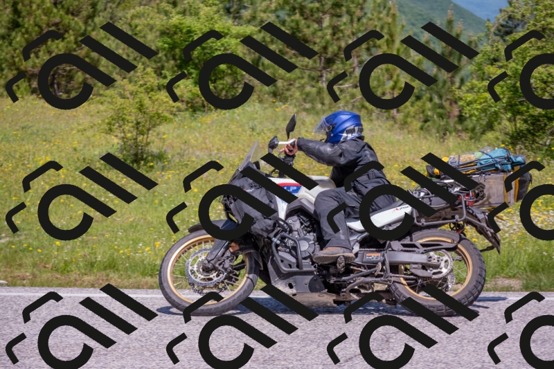 202506021118-DSC_7773_c4_