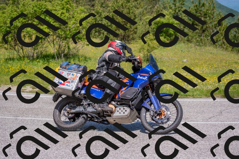 202506021118-DSC_7777_c4_