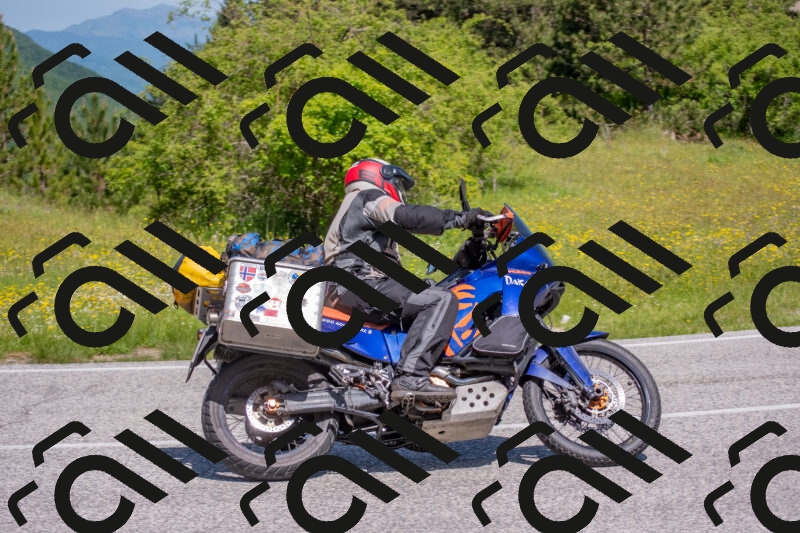 202506021118-DSC_7778_c4_