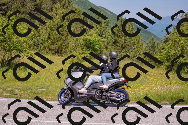 202506021118-DSC_7781_c4_