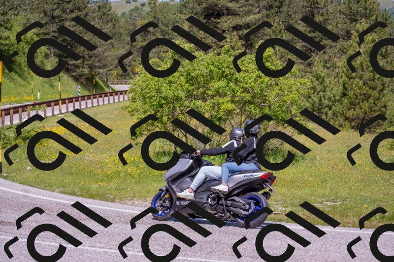 202506021118-DSC_7782_c4_