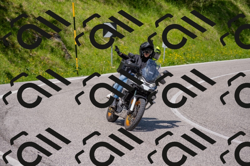 202506021119-DSC_7784_c4_