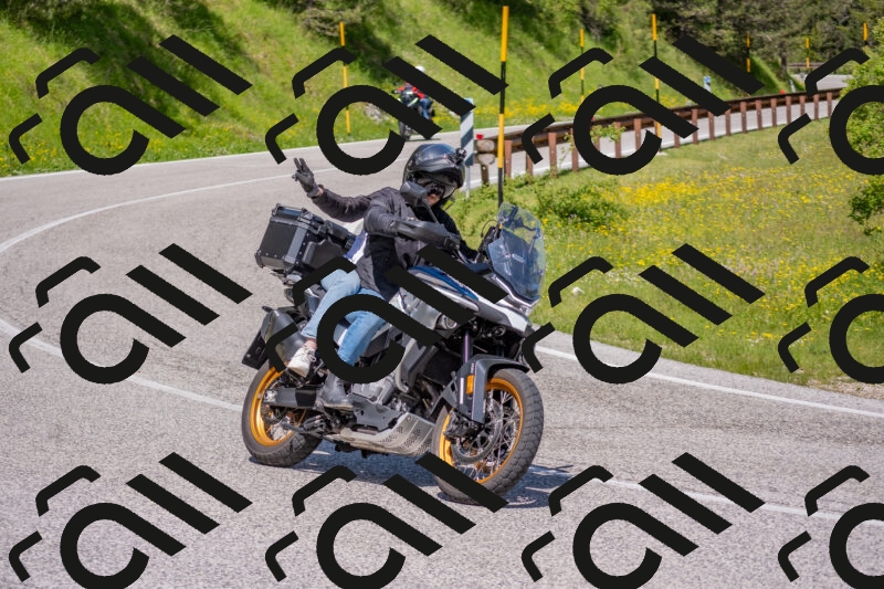 202506021119-DSC_7785_c4_