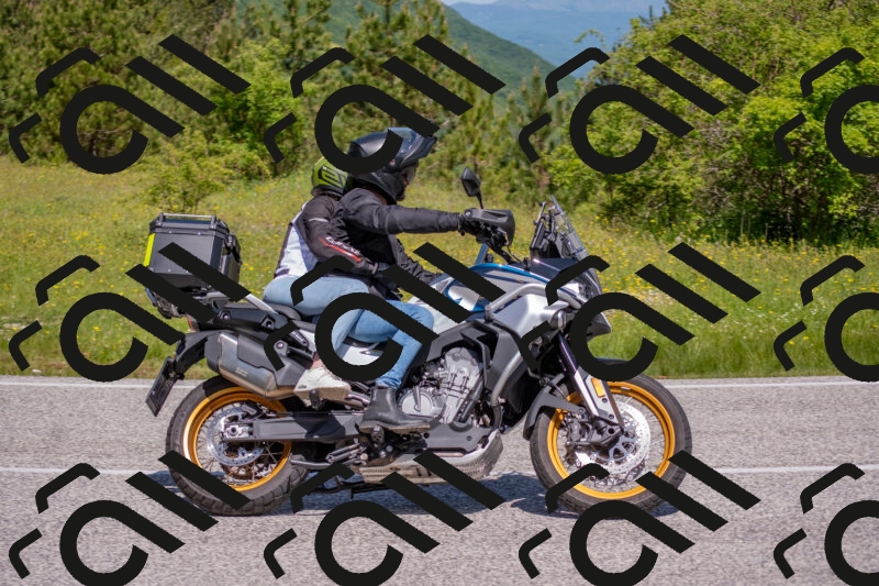 202506021119-DSC_7786_c4_