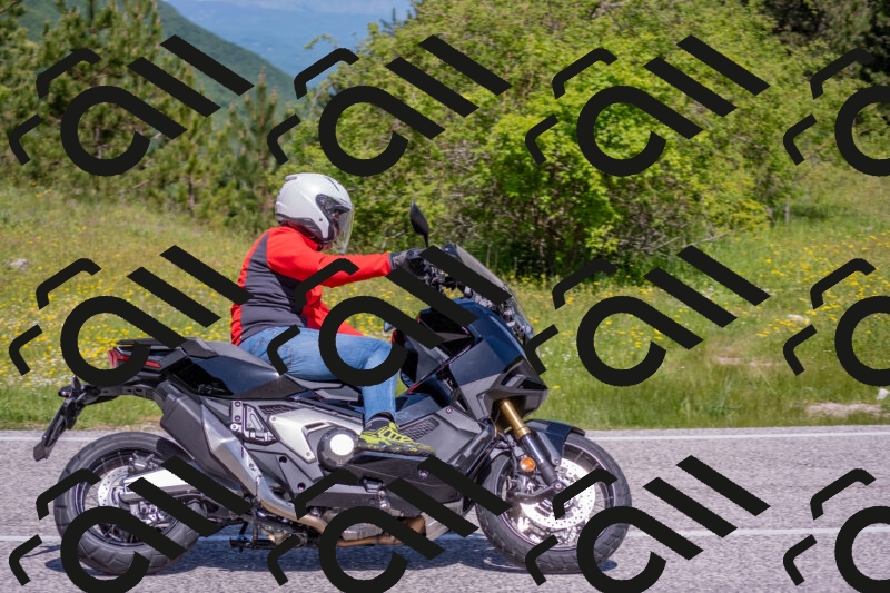 202506021119-DSC_7791_c4_