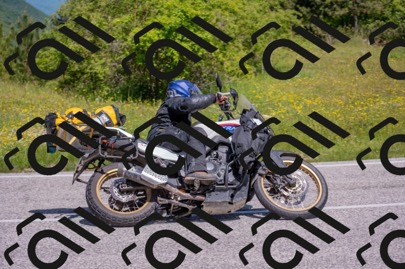 202506021119-DSC_7795_c4_