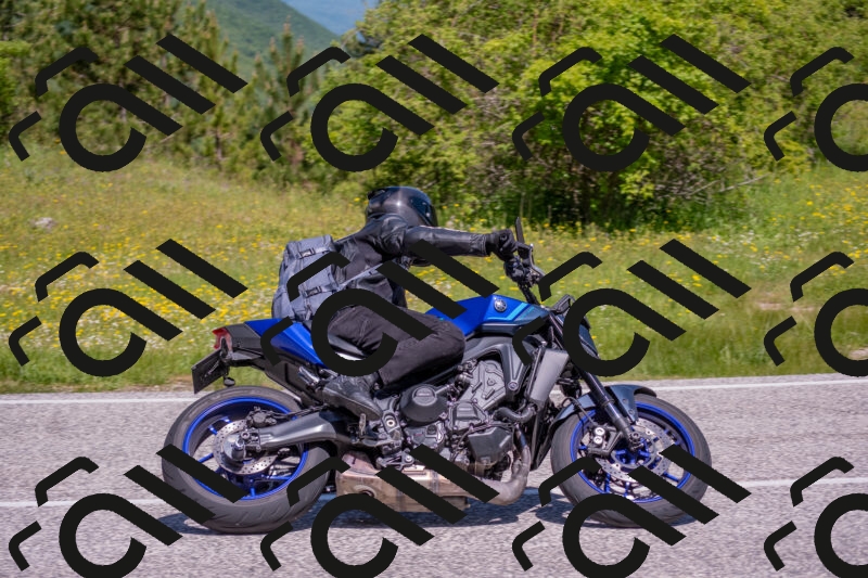 202506021119-DSC_7802_c4_