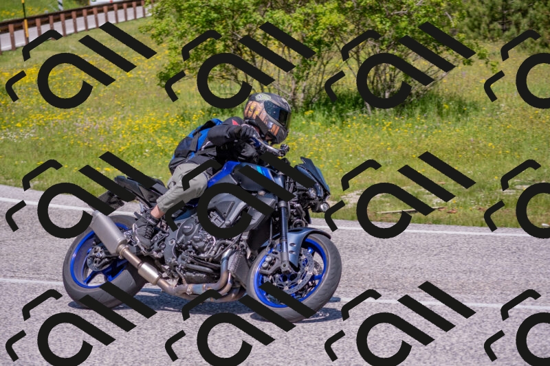 202506021119-DSC_7805_c4_