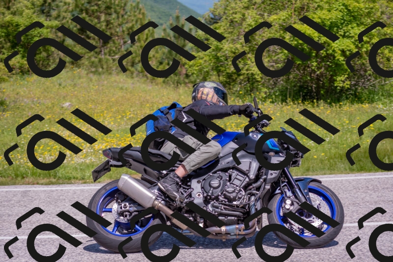 202506021119-DSC_7806_c4_