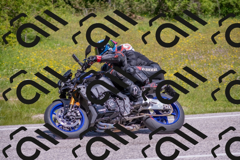 202506021119-DSC_7809_c4_