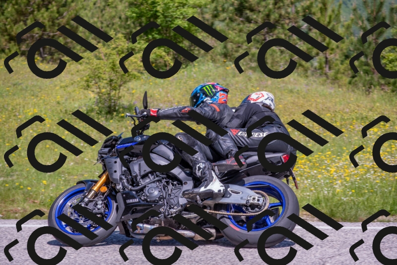 202506021119-DSC_7810_c4_