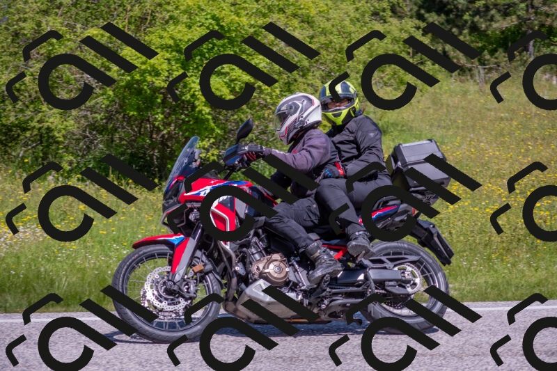 202506021119-DSC_7812_c4_