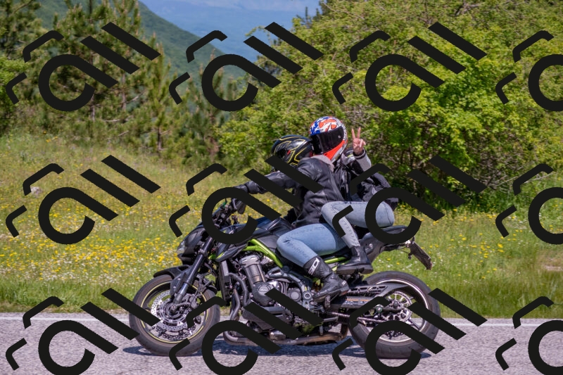 202506021120-DSC_7819_c4_