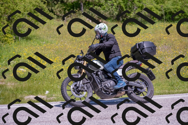 202506021120-DSC_7830_c4_