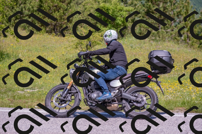 202506021120-DSC_7831_c4_