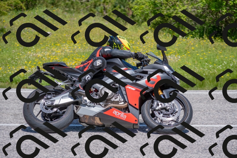 202506021121-DSC_7834_c4_