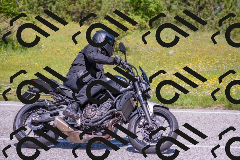 202506021121-DSC_7836_c4_