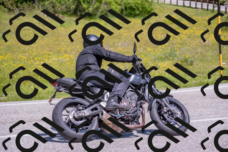 202506021121-DSC_7837_c4_