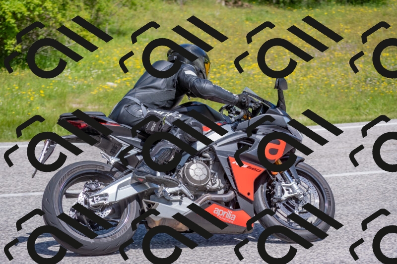 202506021121-DSC_7841_c4_