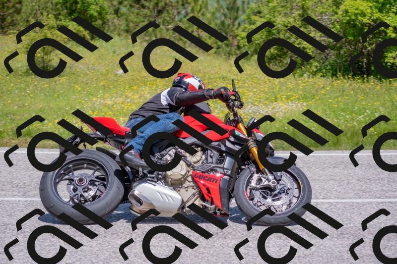 202506021121-DSC_7848_c4_