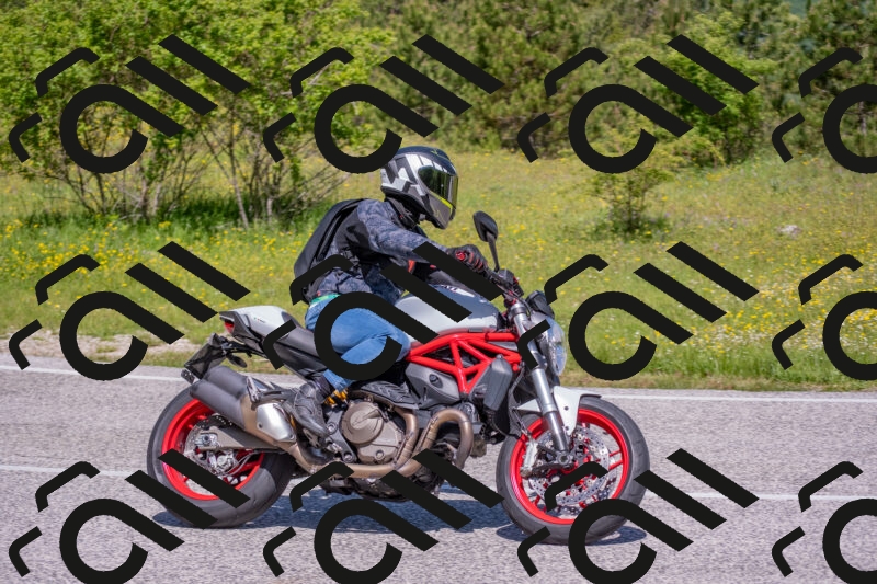 202506021121-DSC_7854_c4_