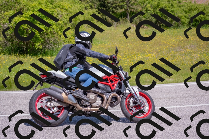 202506021121-DSC_7855_c4_