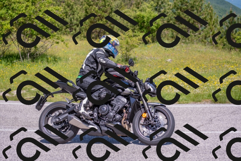 202506021121-DSC_7860_c4_