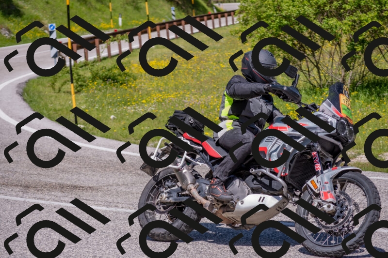 202506021121-DSC_7875_c4_