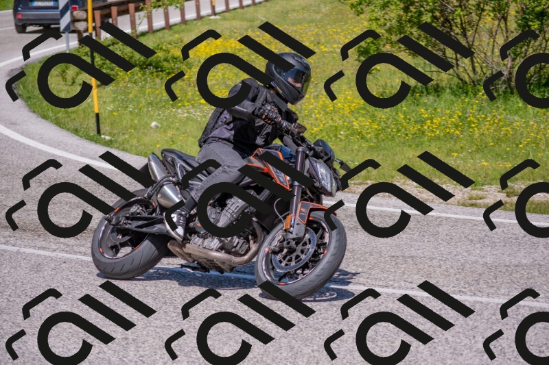 202506021121-DSC_7880_c4_