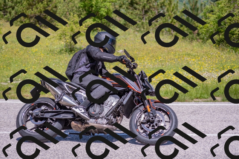 202506021121-DSC_7881_c4_