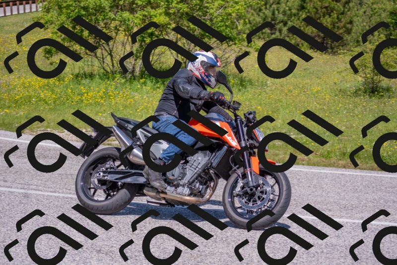 202506021122-DSC_7884_c4_