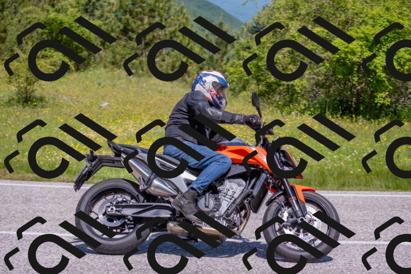 202506021122-DSC_7885_c4_