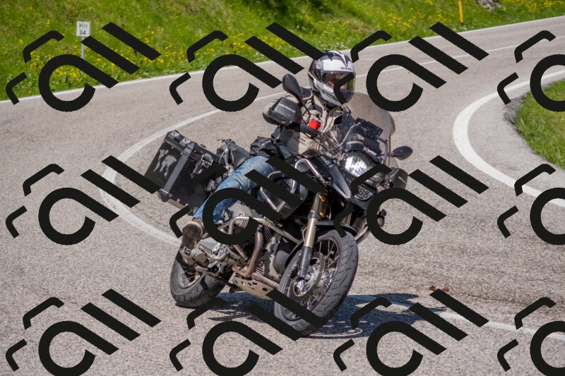 202506021122-DSC_7890_c4_