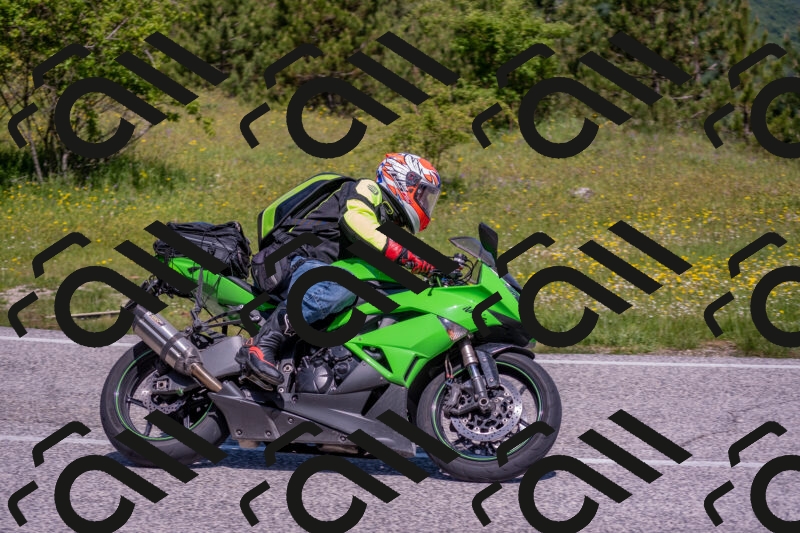 202506021122-DSC_7896_c4_