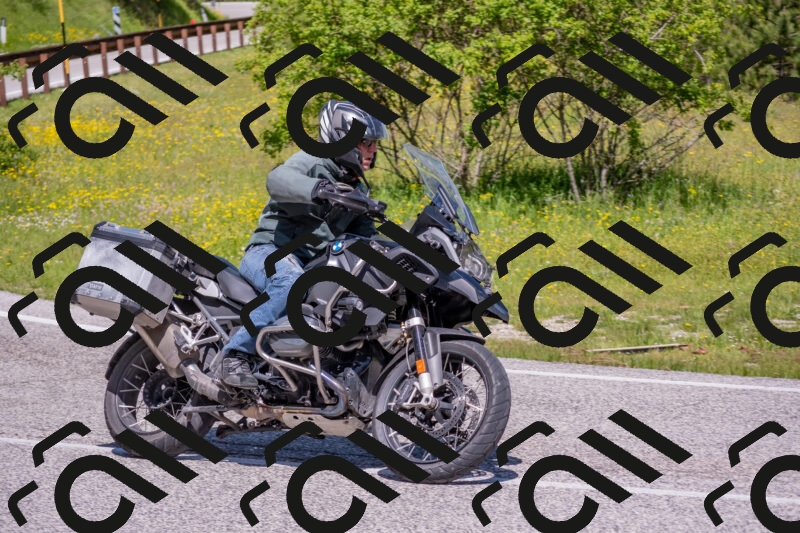 202506021122-DSC_7903_c4_