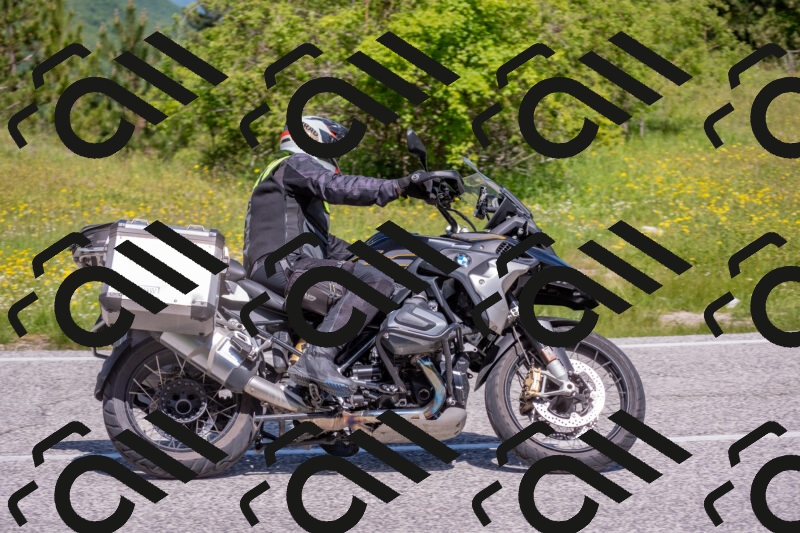 202506021123-DSC_7909_c4_