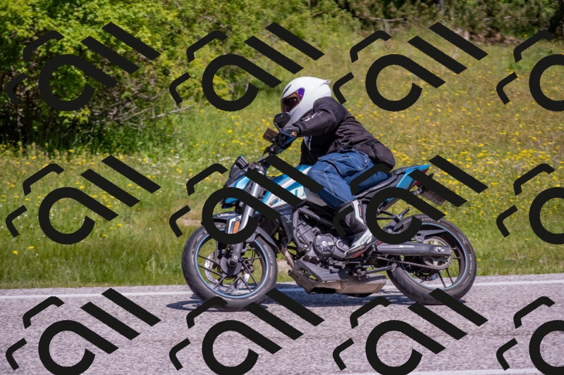 202506021123-DSC_7911_c4_