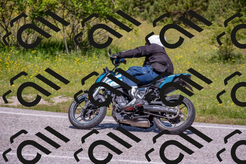 202506021123-DSC_7912_c4_