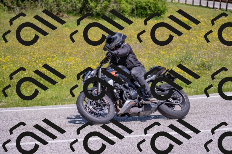 202506021123-DSC_7914_c4_