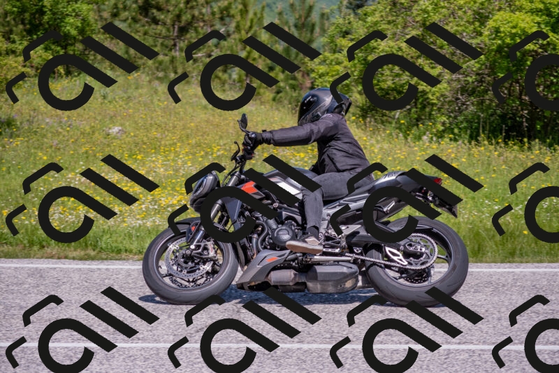 202506021123-DSC_7915_c4_