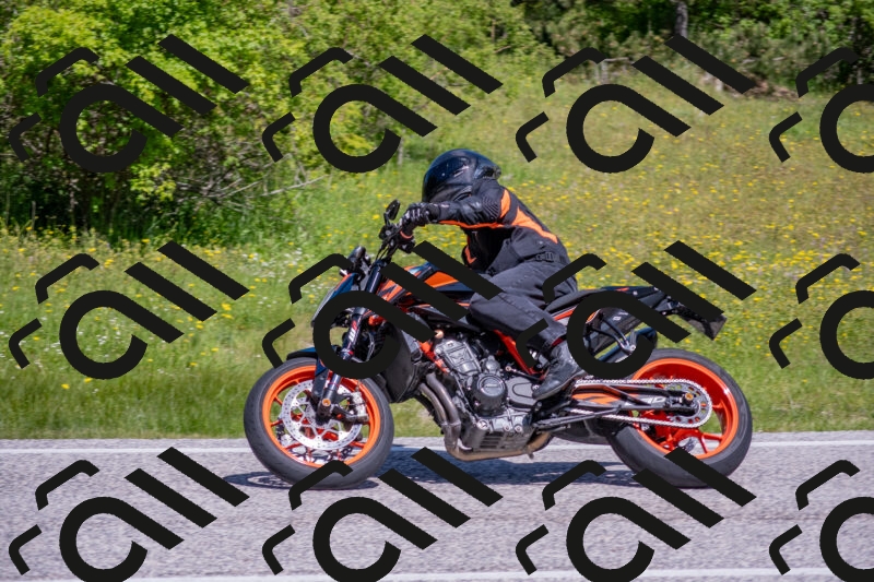 202506021123-DSC_7919_c4_