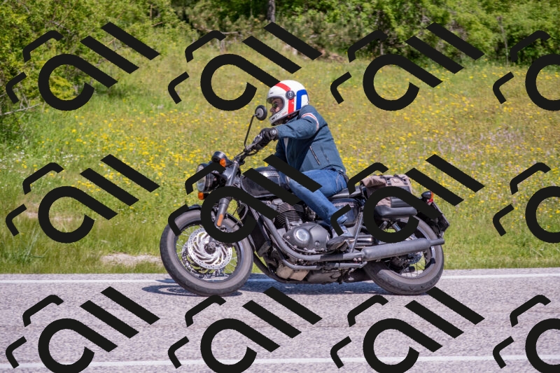 202506021123-DSC_7920_c4_