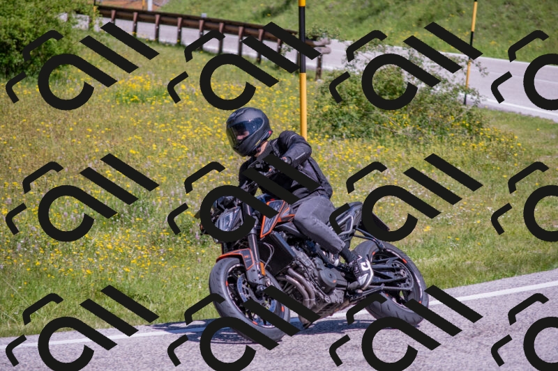 202506021124-DSC_7931_c4_