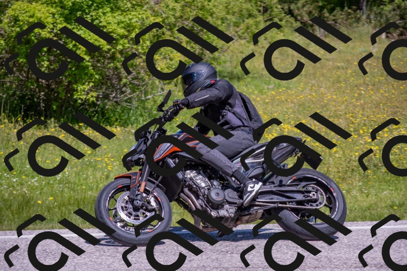 202506021124-DSC_7932_c4_