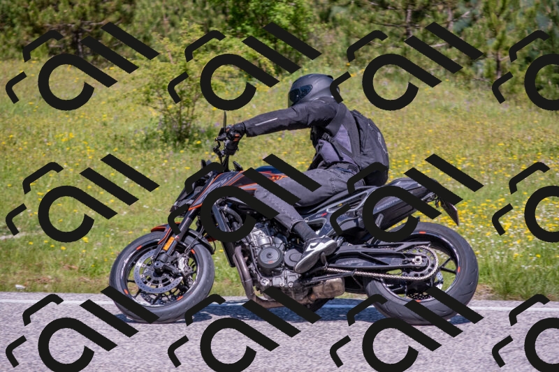 202506021124-DSC_7933_c4_