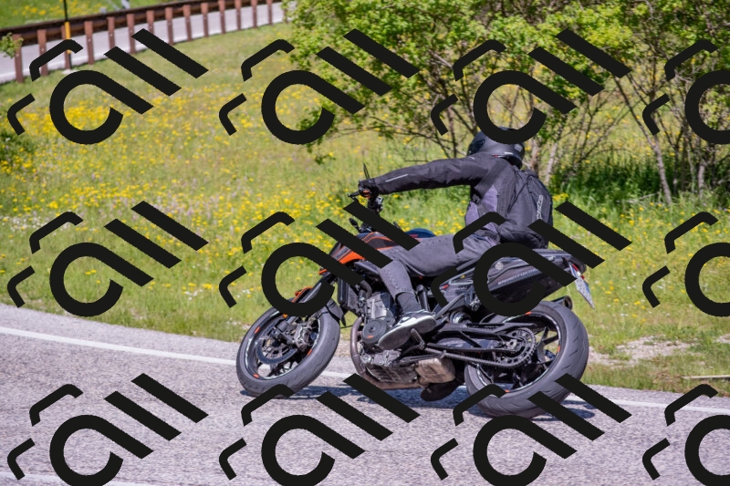 202506021124-DSC_7934_c4_