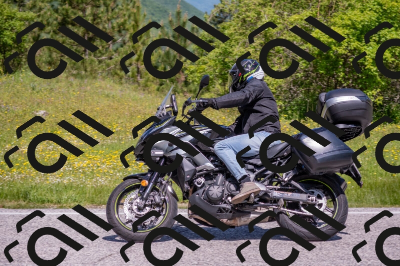 202506021124-DSC_7937_c4_