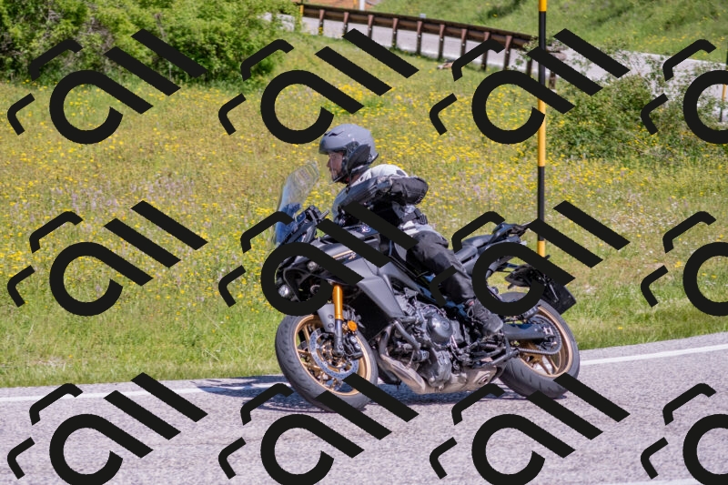 202506021124-DSC_7940_c4_