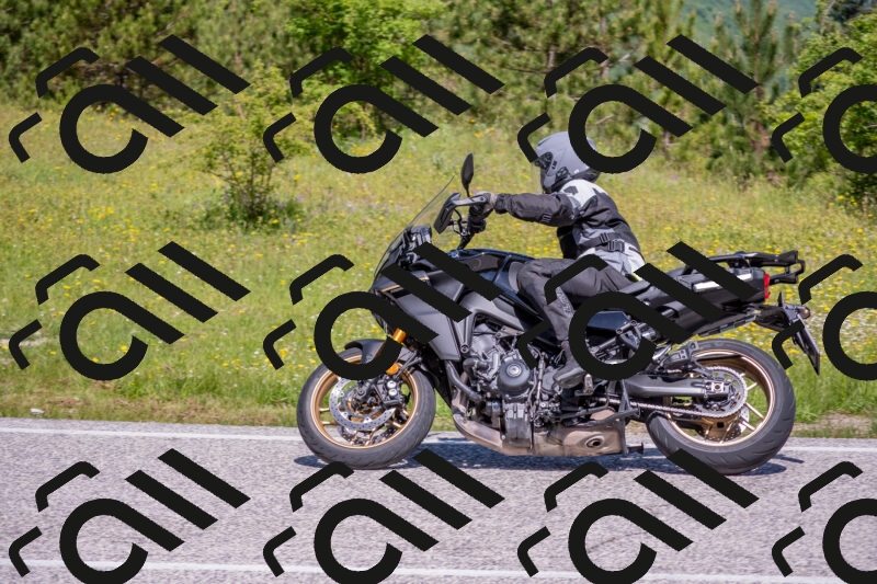 202506021124-DSC_7942_c4_